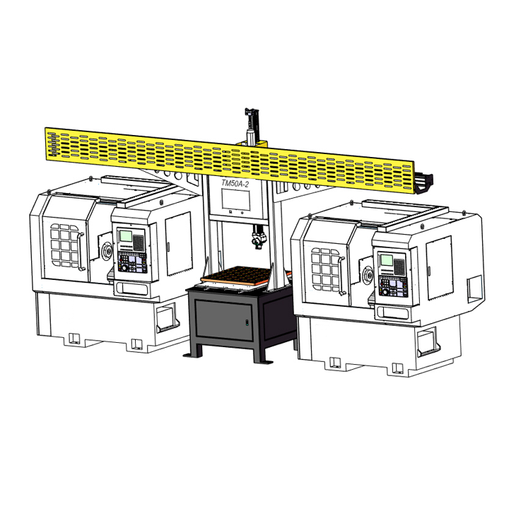 TM50A-2輕型一拖二桁架機械手