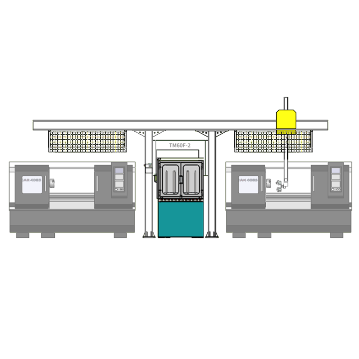 TM60F-2中型一拖二桁架機械手